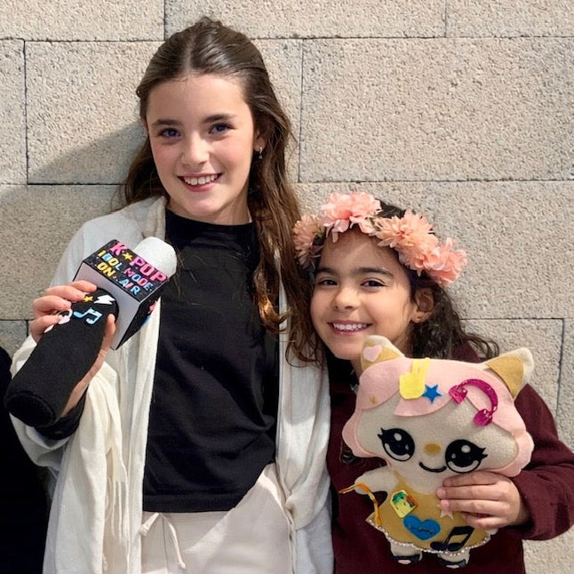 ערכות יום הולדת החל מ-5 יחידות  K POP כרית מיקרופון